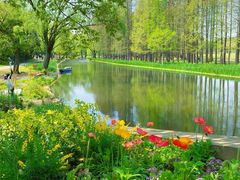 -上海共青森林公园