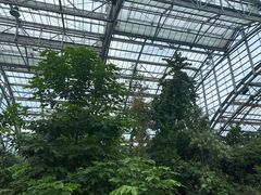 -南山植物园