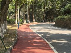 -火炉山森林公园