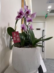 -海涛医疗美容·面部抗衰·注射美鼻