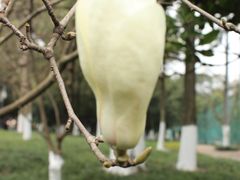 -塔子山公园