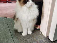 -零纪元VR体验馆·桌游(黄浦店)