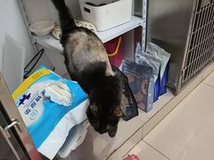 -艾贝尔宠物医院 ·中兽医·宠保定点(北门桥店)