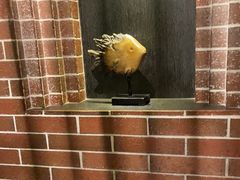 -永安鱼庄·镇江菜(东吴路店)