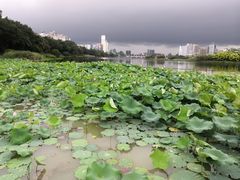 -南宁南湖公园