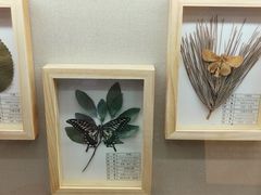 -浙江自然博物院(杭州馆)