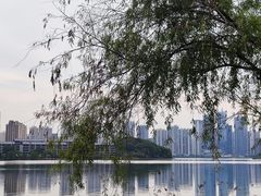 -梅溪湖公园