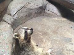 -福州罗源湾海洋世界旅游区