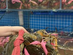 -辣螃铠盆盆蟹大排档(总店)