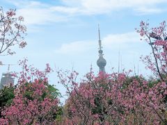 -文华公园(禅城区)