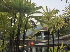 -丫口花园餐厅·融合菜