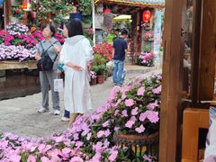-民食香·腊排骨野生菌美食(木府店)