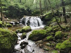 -牛背梁国家森林公园