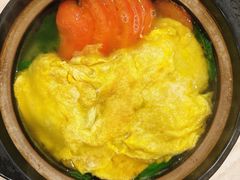 -田螺阿姨自营月嫂·育儿嫂(高新店)