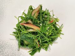 -曼格纳·曼芯馆(杨浦店)