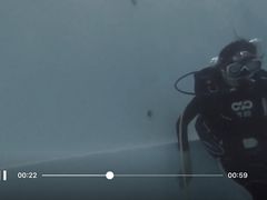 -上海潜殿潜水中心