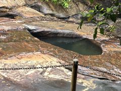 -广州白江湖森林公园