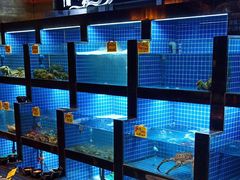 水产区-徽三说·土徽菜·中国徽菜连锁品牌(一中店)