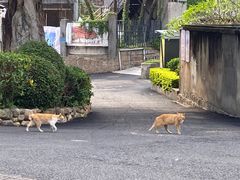 -厦门老字号·旷野茶叶(茶厂直营中山路店)
