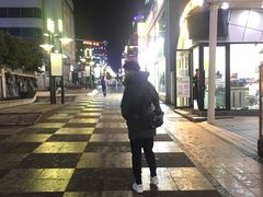 -宝健路步行街(Pedestrian Shopping Street)