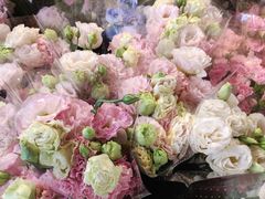 -循礼门鲜花花市(武汉循礼门店)