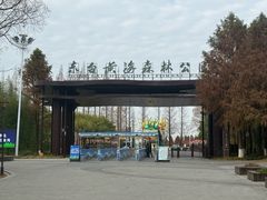 -黄海国家森林公园