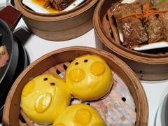 -新兴·金羊座·粤菜点心(乐峰店)