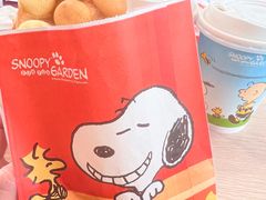 -史努比缤纷世界