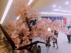 -汤里来温泉