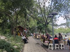 -成都市活水公园