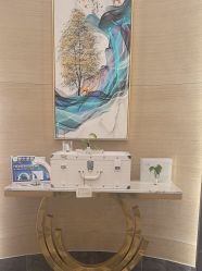 -雅曼妮spa美容养生