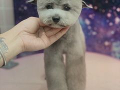 -FAELING PETS美天灵宠物(富力广场店)