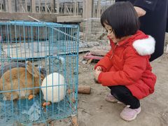 -美家乐农庄·露营·团建(大治路店)