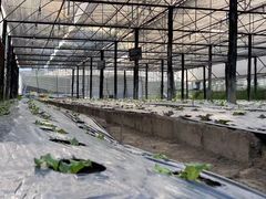 -Ohkajhu Organic Farm Sansai