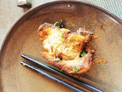 -松赞拉萨林卡酒店