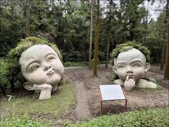 -东平国家森林公园