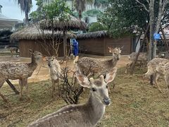 -福州罗源湾海洋世界旅游区