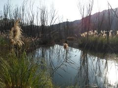 -西湖风景区-江洋畈生态公园