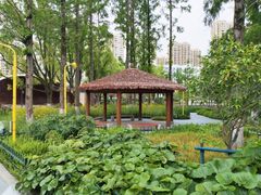 -宁波儿童公园(鄞州区)