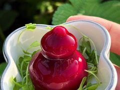 -杭州西湖风景名胜区-满觉陇四眼井