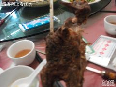 烤乳鸽06-天羽烤乳鸽店(财大家属院店)