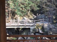 -藏龙百瀑风景区