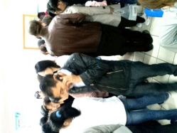 -上海交通大学医学院附属上海儿童医学中心(陆家嘴总院区)