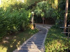 三亚凯莱仙人掌度假酒店-三亚亚龙湾凯莱仙人掌度假酒店