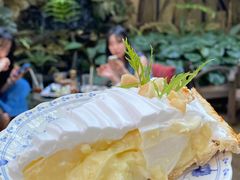 -Fern Forest Cafe