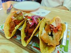 -Famous肥猫墨西哥音乐餐吧(五棵松华熙LIVE店)