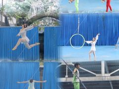 -泉州海丝野生动物世界