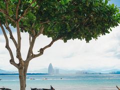 -三亚蜈支洲岛旅游区