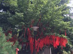 -西安青龙寺遗址景区