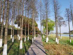 -太湖湖滨国家湿地公园-停车场